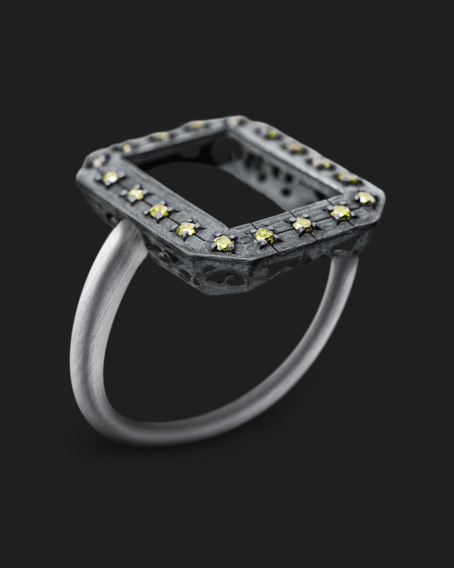 Frame Ring